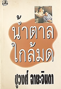 Image of น้ำตาลใกล้มด เล่ม2