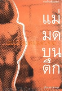 Image of แม่มดบนตึก.