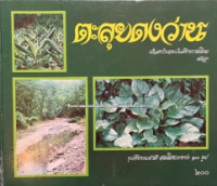 Image of ตะลุยดงว่าน เล่ม1.