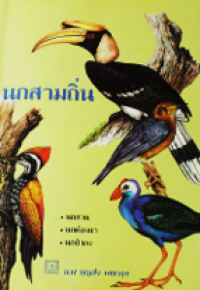 Image of นกสามถิ่น.