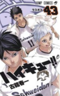 Image of ไฮคิวคู่ตบฟ้าประทาน เล่ม43.