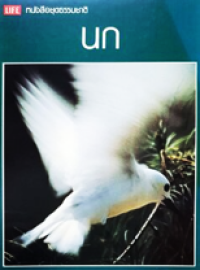 Image of หนังสือชุดธรรมชาติ: นก.