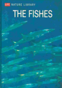 Image of The Fishes.